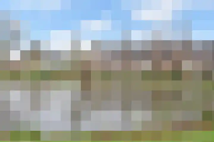 Eikendreef 12 Nootdorp thumbnail 6