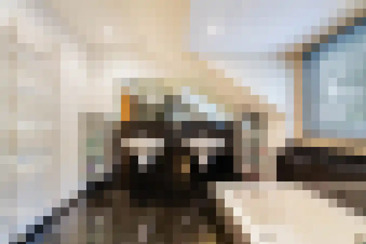 Eikendreef 14 Haelen thumbnail 38