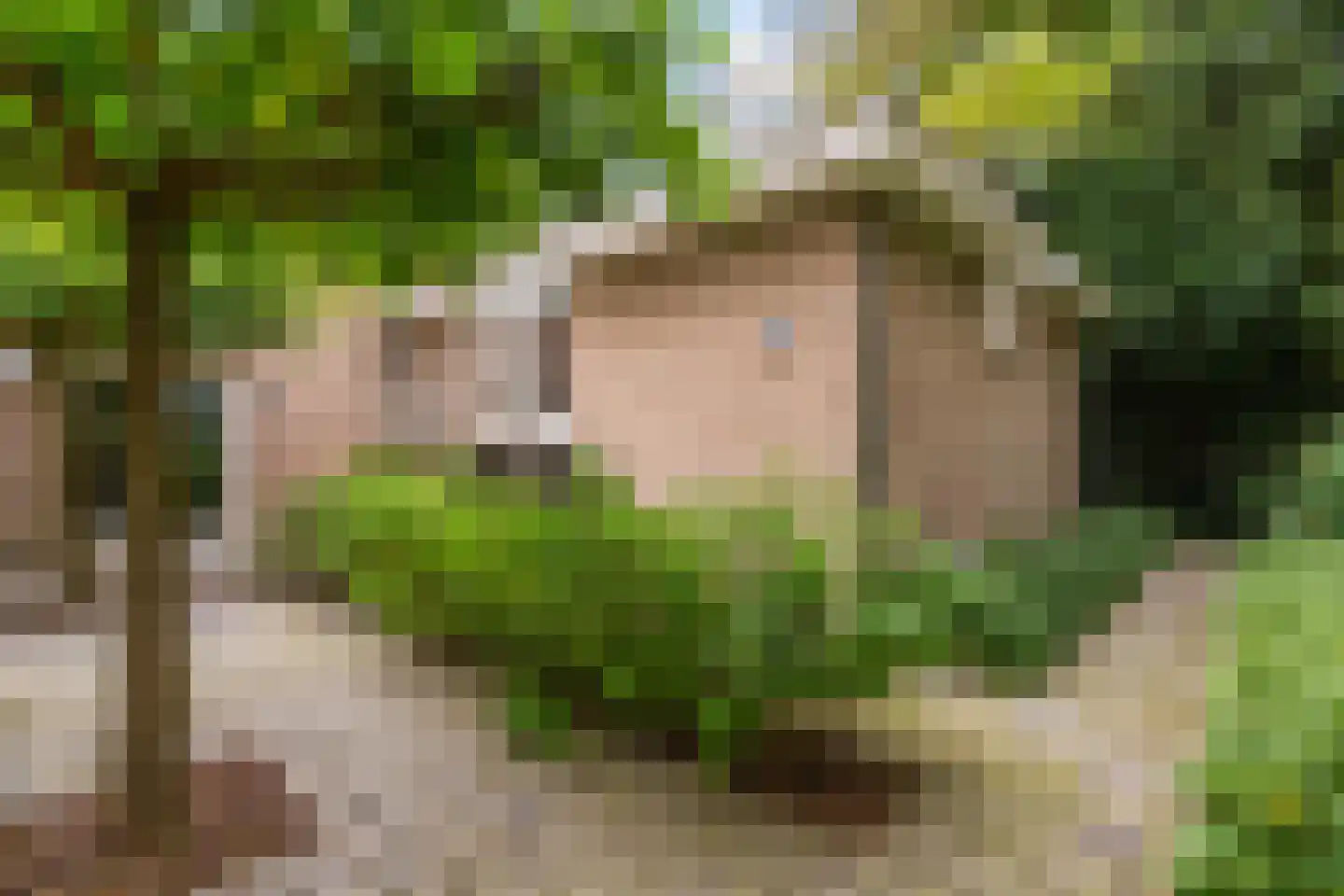 Eikendreef 14 Haelen thumbnail 46