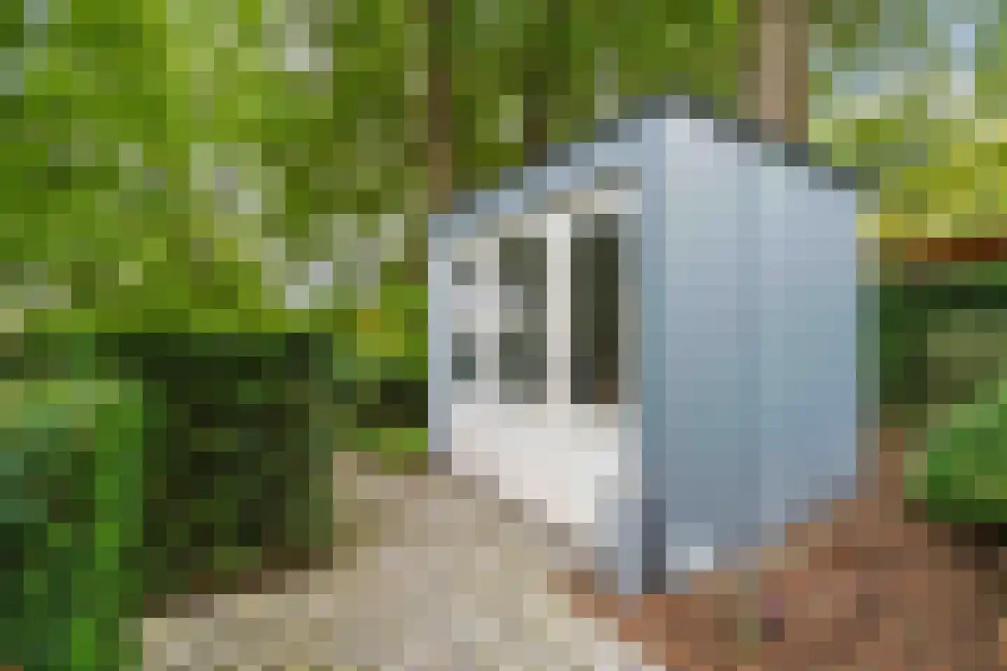 Eikendreef 14 Haelen thumbnail 48
