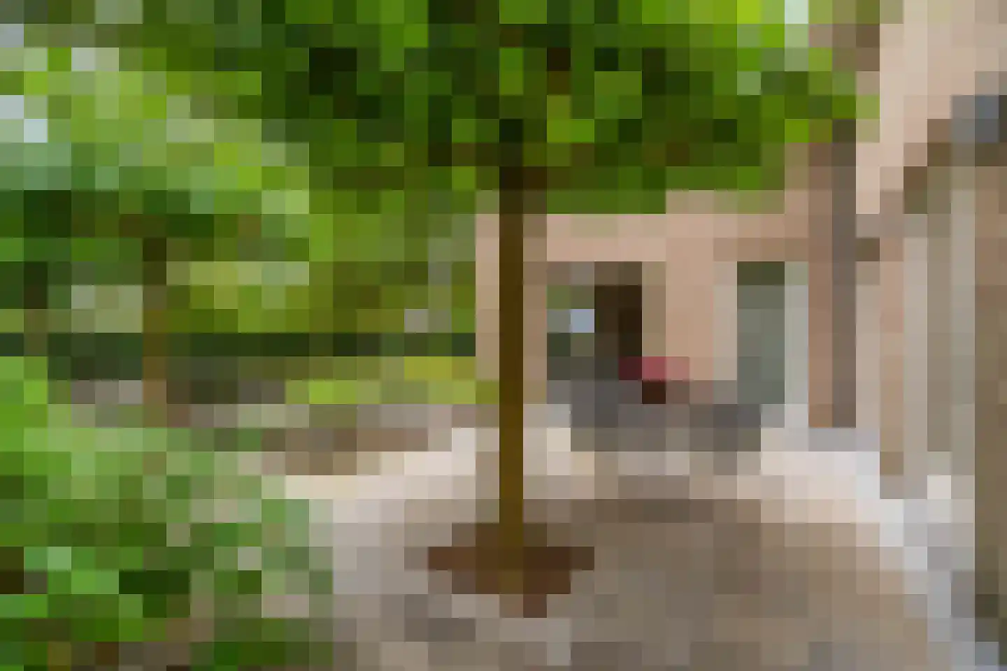 Eikendreef 14 Haelen thumbnail 5