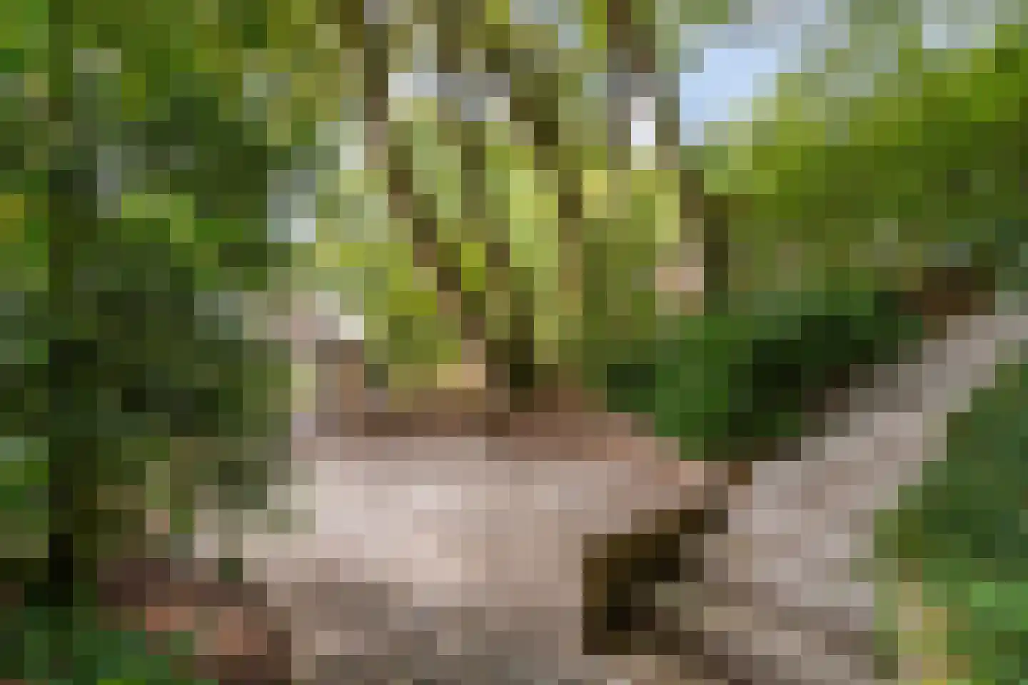 Eikendreef 14 Haelen thumbnail 51