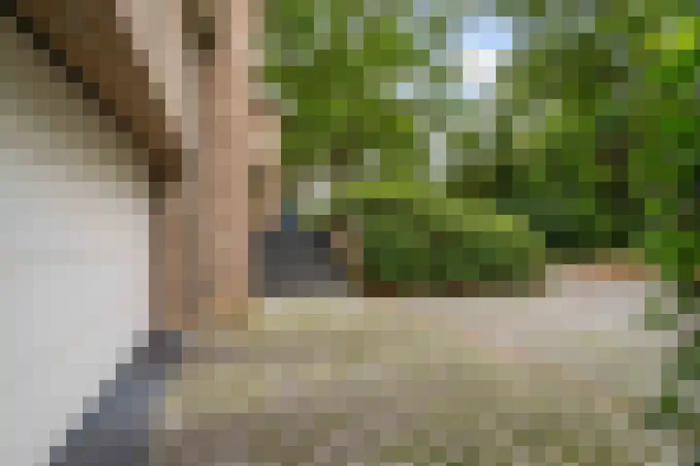Eikendreef 14 Haelen thumbnail 55