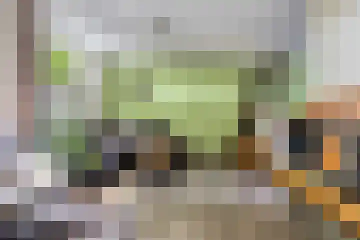 Eikendreef 14 Mierlo thumbnail 11