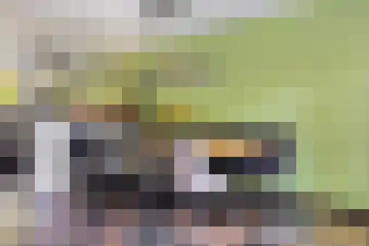 Eikendreef 14 Mierlo thumbnail 18