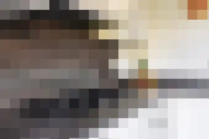 Eikendreef 14 Mierlo thumbnail 21