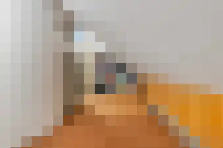 Eikendreef 14 Mierlo thumbnail 34