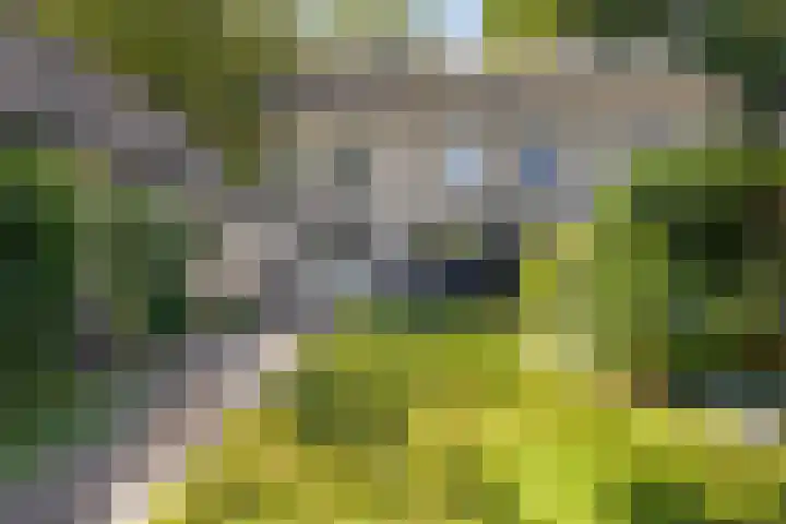 Eikendreef 14 Mierlo thumbnail 35