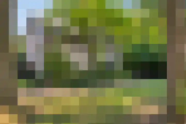 Eikendreef 14 Mierlo thumbnail 43