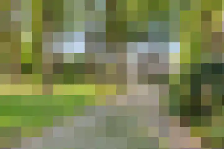 Eikendreef 14 Mierlo thumbnail 44