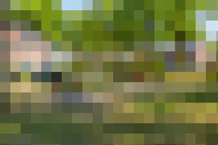 Eikendreef 14 Mierlo thumbnail 45