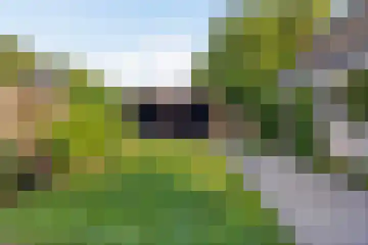 Eikendreef 14 Mierlo thumbnail 5