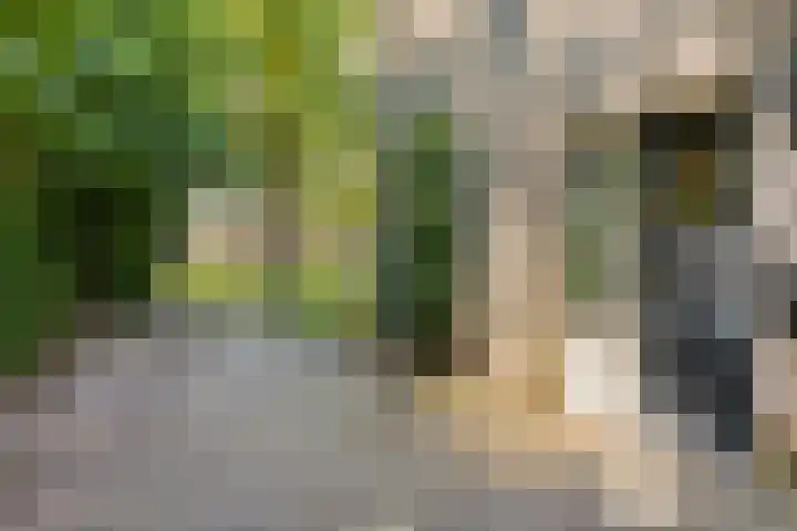 Eikendreef 14 Mierlo thumbnail 8