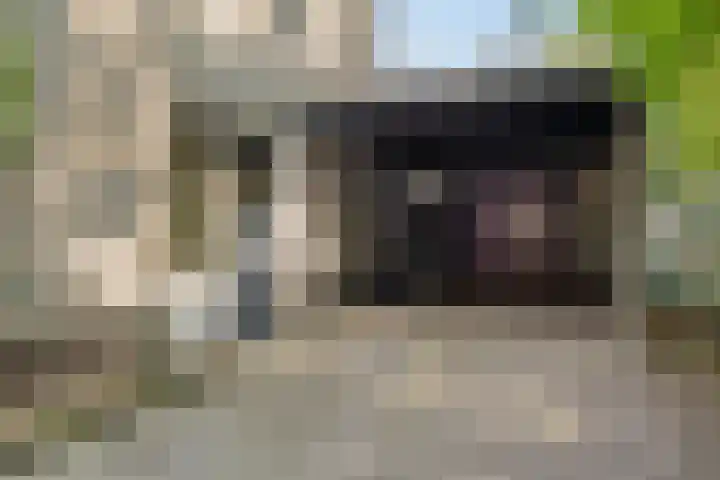 Eikendreef 14 Mierlo thumbnail 9