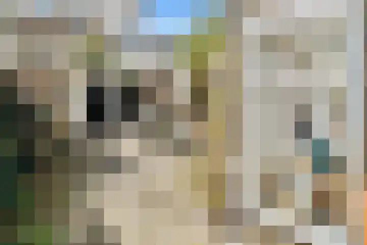 Eikendreef 29 Helmond thumbnail 6