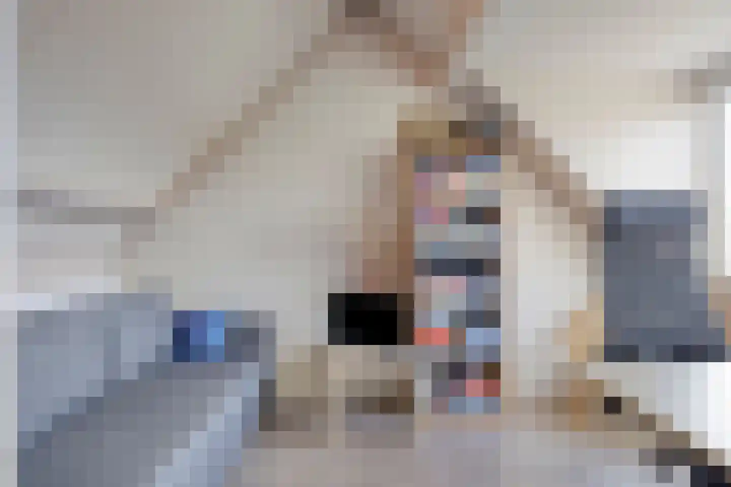 Eikendreef 30 Malden thumbnail 31
