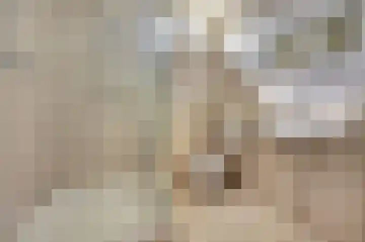 Eikendreef 33 Ridderkerk thumbnail 16
