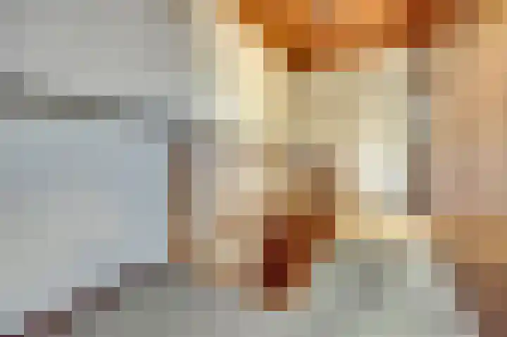Eikendreef 33 Ridderkerk thumbnail 17