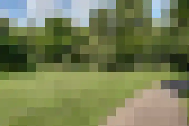 Eikendreef 33 Ridderkerk thumbnail 23