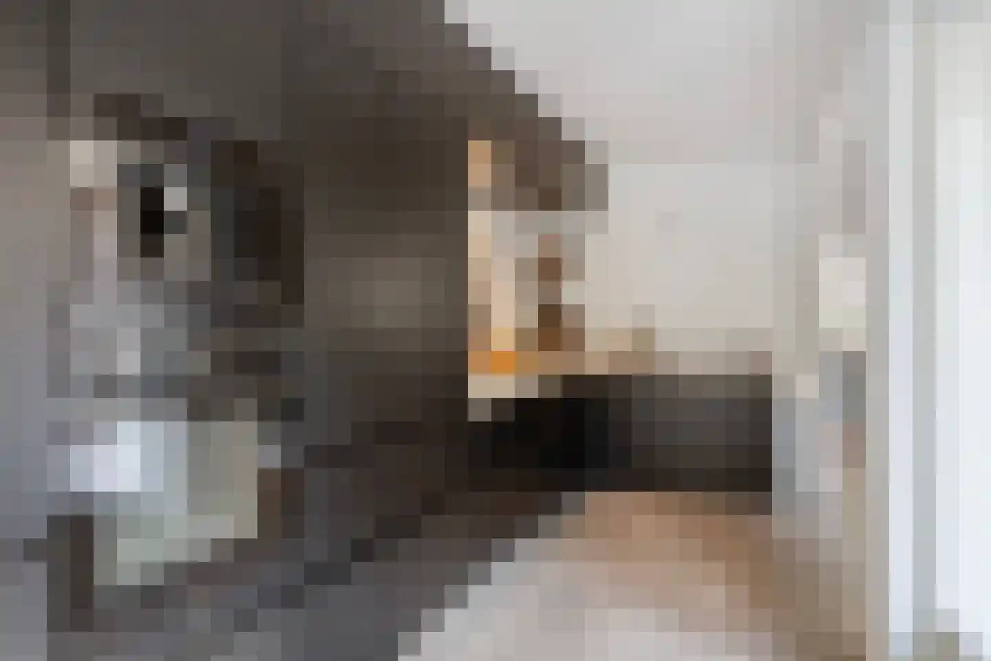 Eikendreef 43 Helmond thumbnail 16