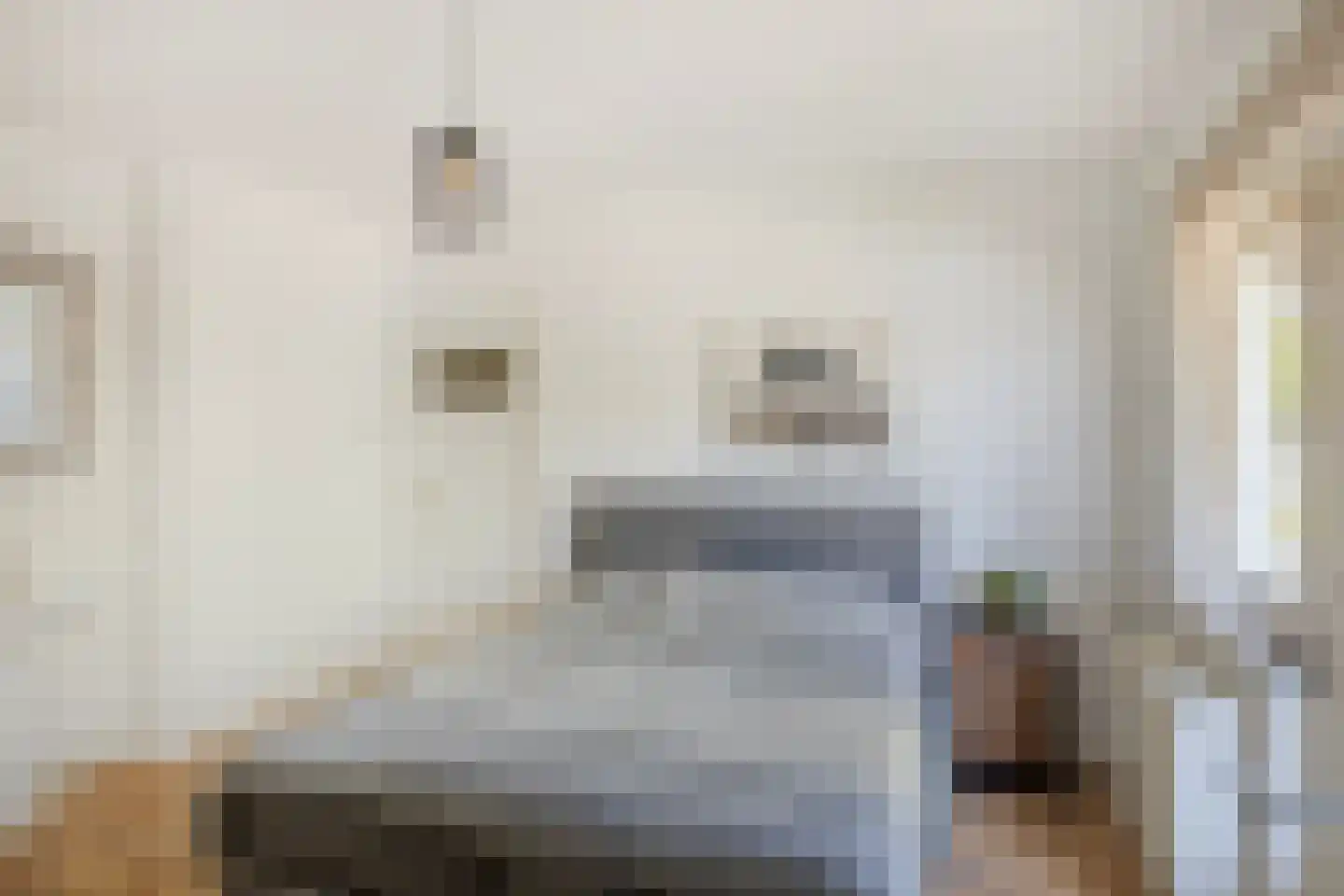 Eikendreef 43 Helmond thumbnail 21