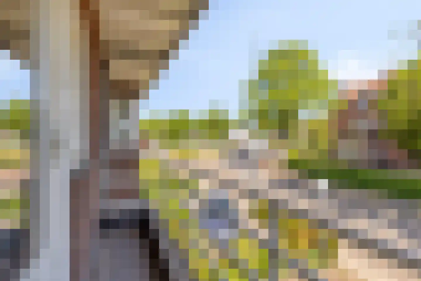 Eikendreef 43 Helmond thumbnail 22