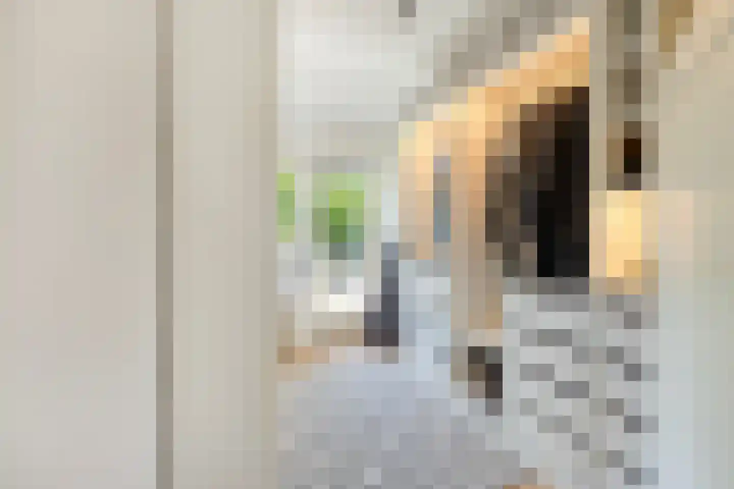 Eikendreef 43 Helmond thumbnail 26