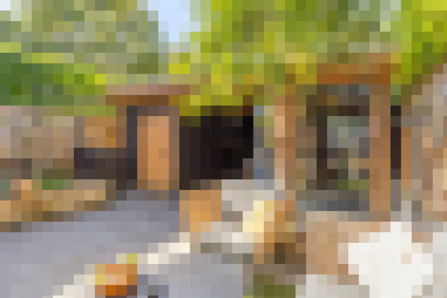 Eikendreef 43 Helmond thumbnail 34
