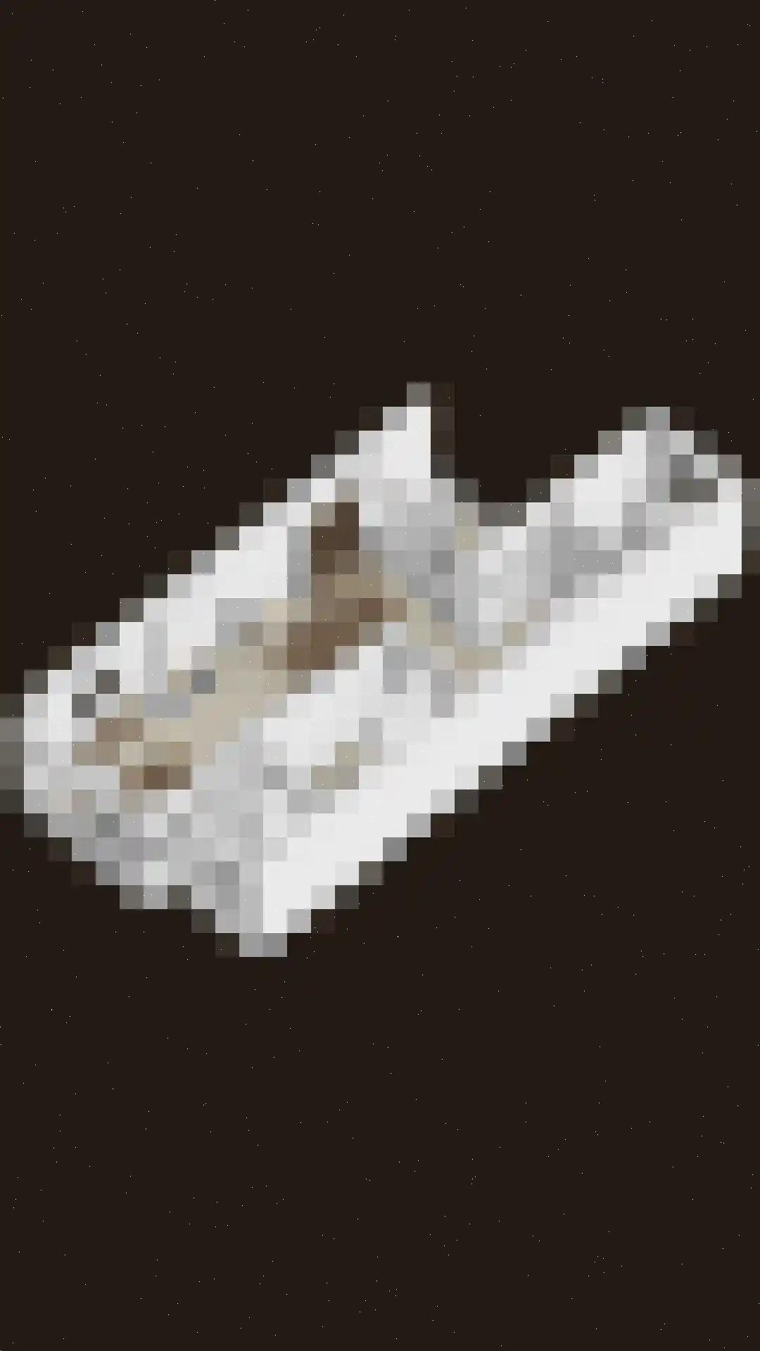 Eikendreef 43 Helmond thumbnail 44