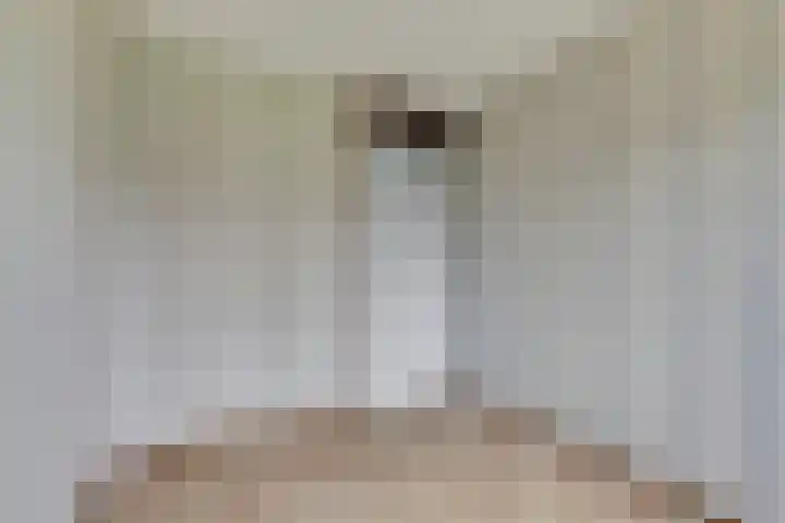 Eikendreef 61 Ridderkerk thumbnail 26