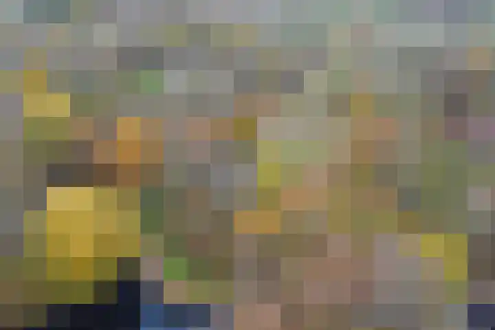 Eikendreef 61 Ridderkerk thumbnail 47