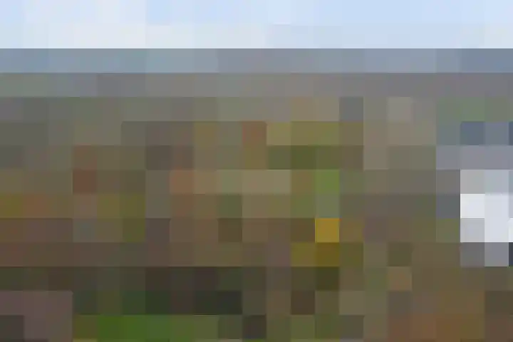 Eikendreef 61 Ridderkerk thumbnail 49