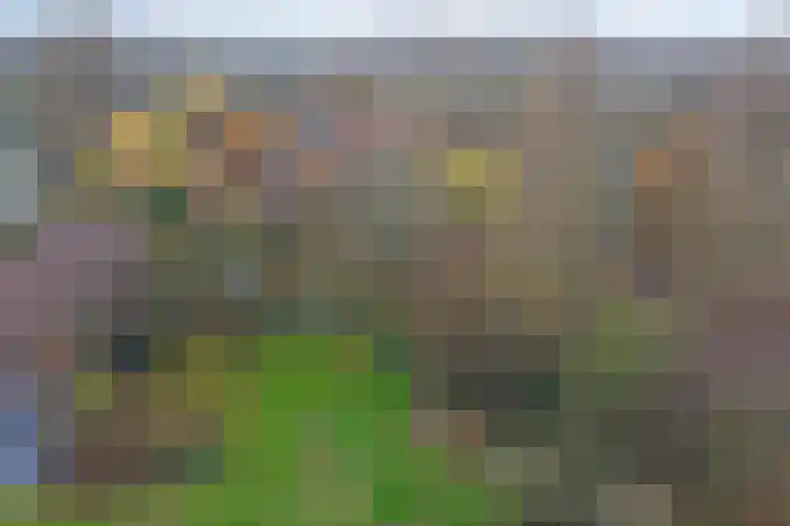 Eikendreef 61 Ridderkerk thumbnail 51