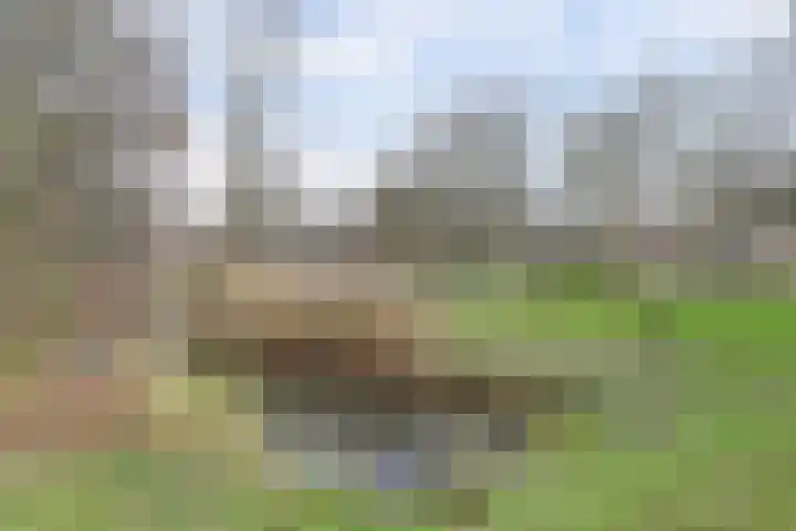 Eikendreef 61 Ridderkerk thumbnail 7
