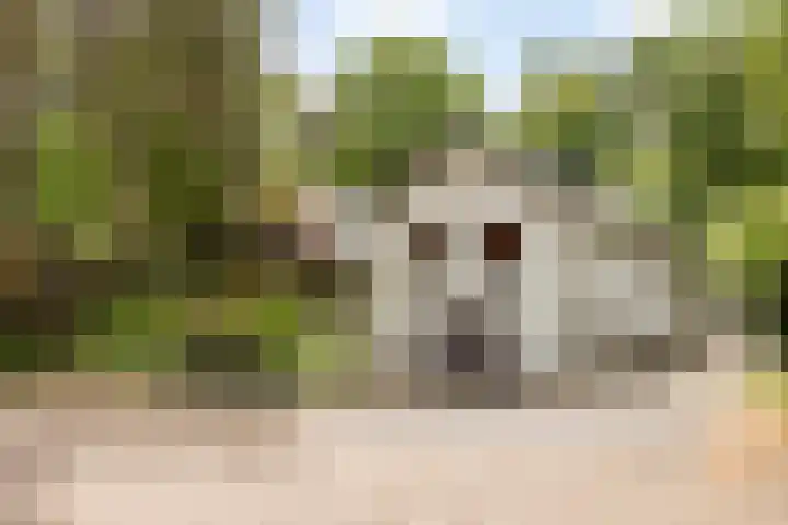 Eikendreef 7 Bergeijk