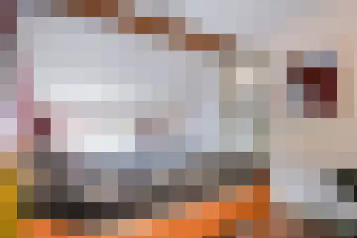 Eikendreef 7 Mierlo thumbnail 22
