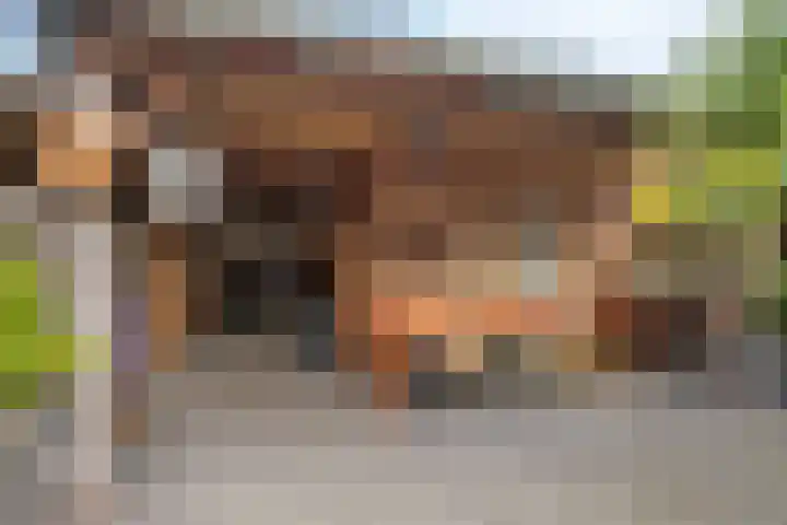 Eikendreef 7 Mierlo thumbnail 30