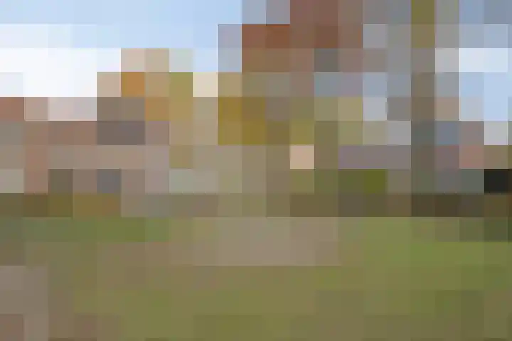 Eikendreef 7 Mierlo thumbnail 33