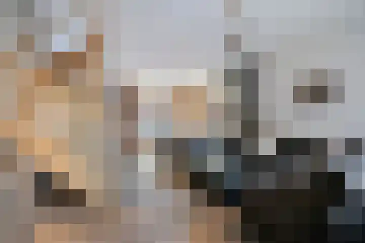 Eikendreef 7 Mierlo thumbnail 7