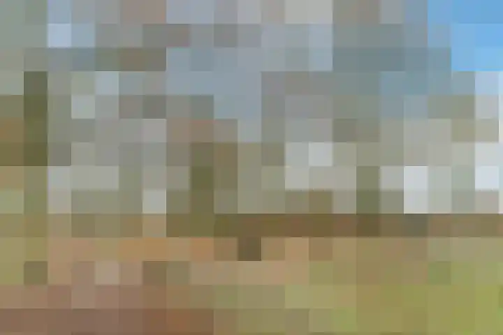 Eikendreef 73 Malden thumbnail 11