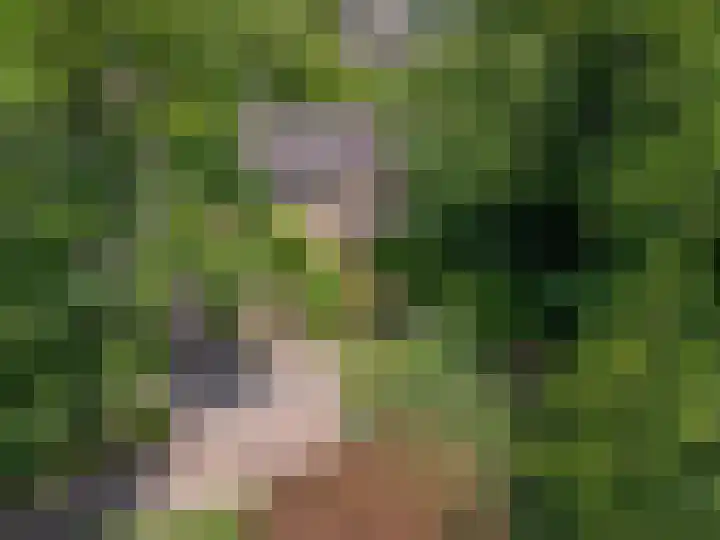 Eikendreef 73 Malden thumbnail 12