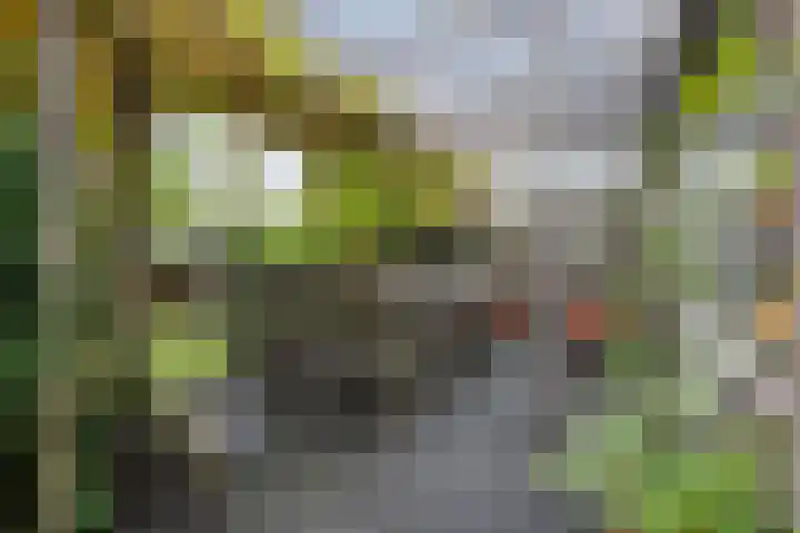 Eikendreef 73 Malden thumbnail 31
