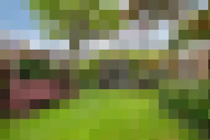Eikendreef 73 Malden thumbnail 32