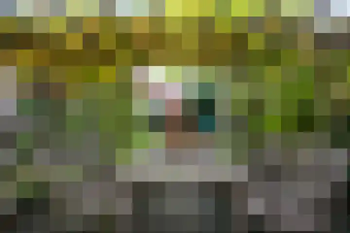 Eikendreef 73 Malden thumbnail 33