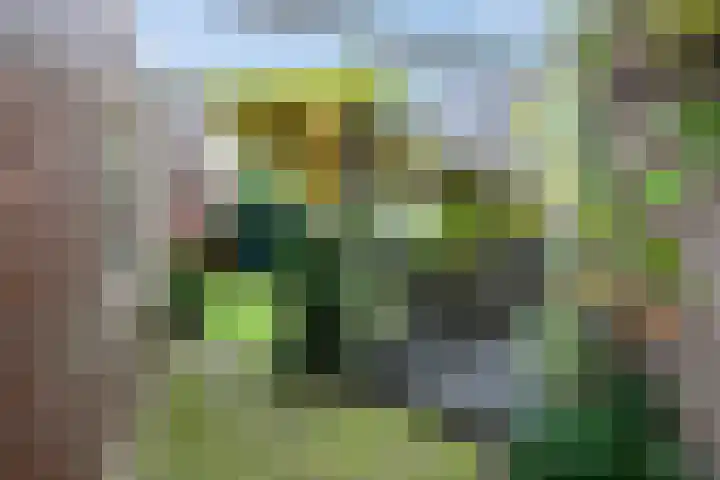 Eikendreef 73 Malden thumbnail 34