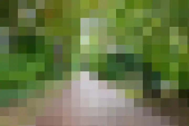 Eikendreef 73 Malden thumbnail 42
