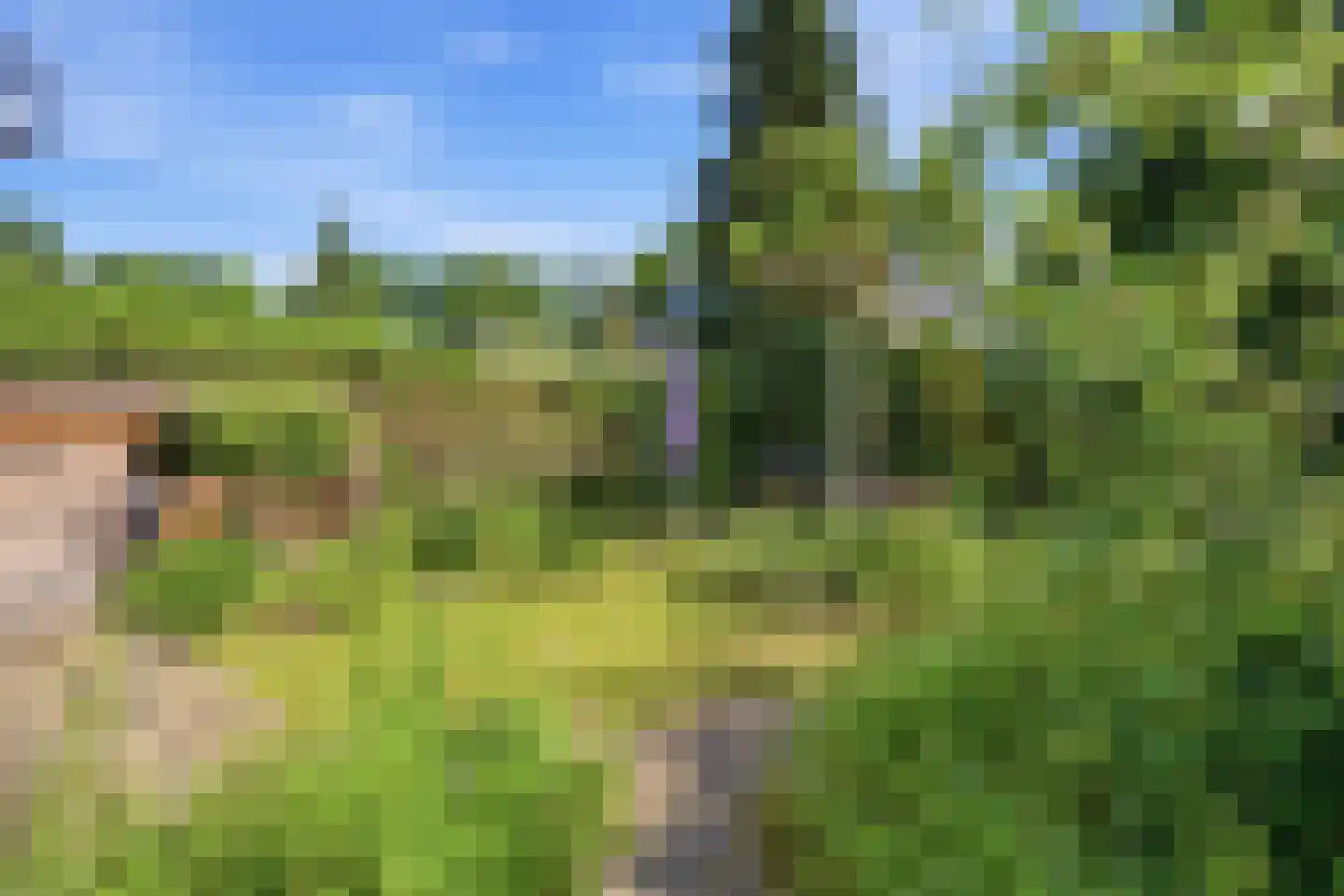 Eikendreef 84 Malden thumbnail 36
