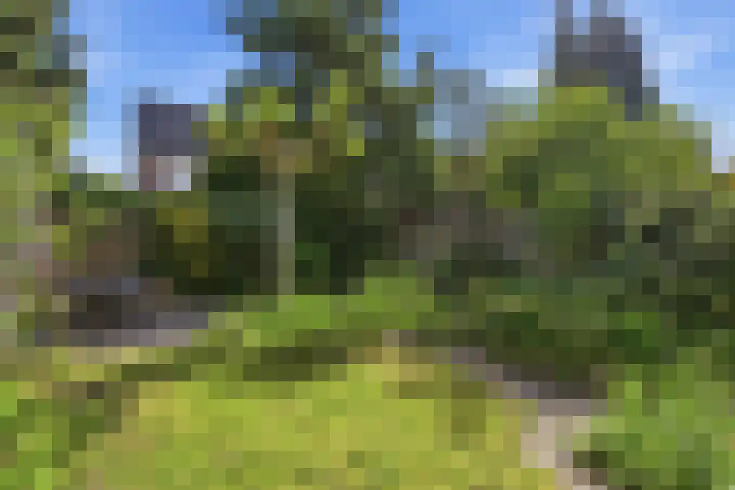Eikendreef 84 Malden thumbnail 37