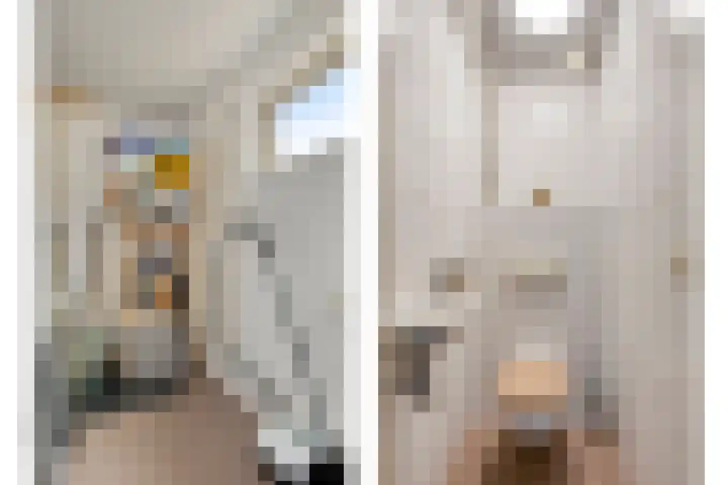 Eikendreef 9 Mierlo thumbnail 12