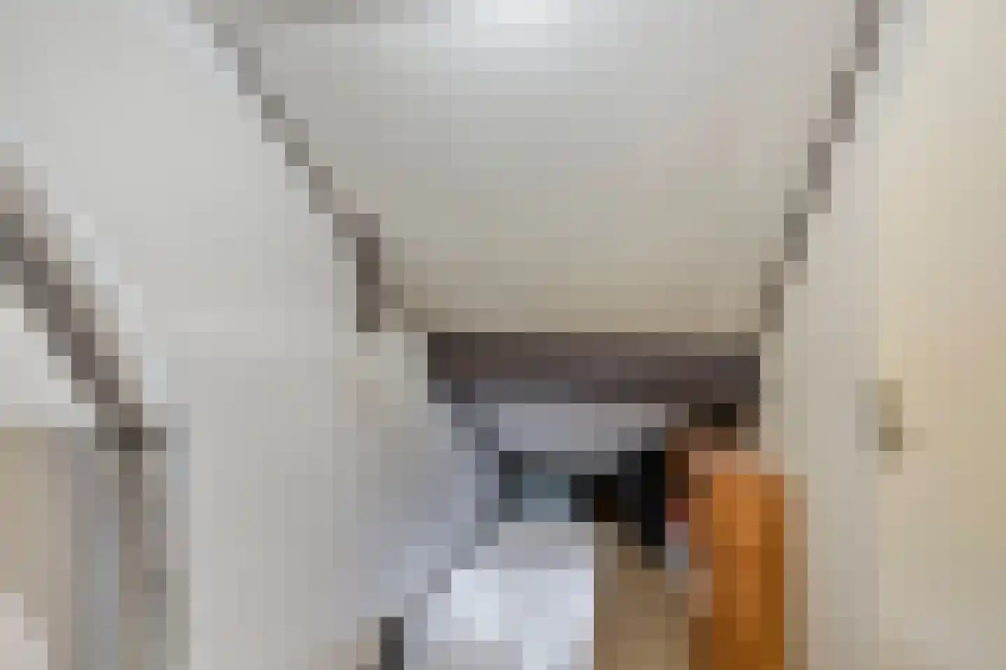 Eikendreef 9 Mierlo thumbnail 21
